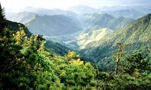 天目山旅游攻略两日游_天目山旅游攻略两日游路线