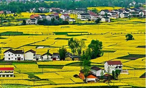 汉中看油菜花旅游攻略_汉中油菜花旅游攻略景点必去