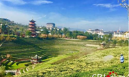 贵州毕节景点_贵州毕节景点哪最好玩