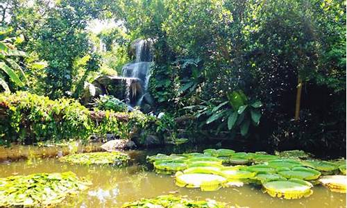 厦门植物园旅游攻略一日游_厦门植物园旅游攻略一日游路线