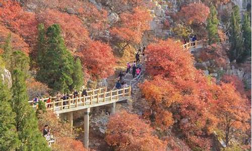 临朐石门坊风景区门票价格_临朐石门坊风景区门票价格多少