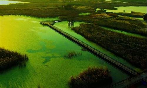 杭州湾湿地公园在哪里_杭州湾湿地公园在哪里,门票多少钱-