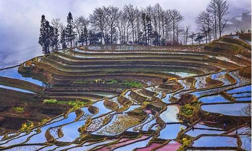 云南红河哈尼梯田文化景观_云南红河哈尼梯田