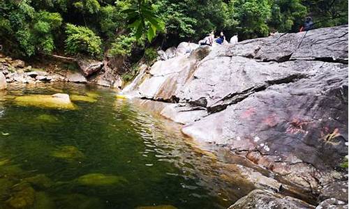 十万大山森林公园景点介绍_十万大山