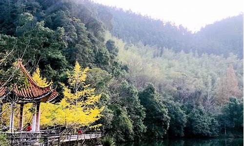 南雄旅游团报名一日游_南雄旅游