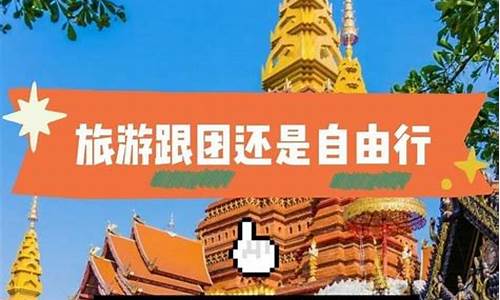 旅游跟团好还是自由行好_旅游跟团划算还是自由行划算一点