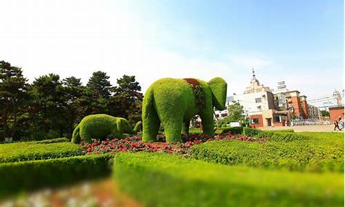 动植物公园门票包含西游记门票吗_动植物公园门票