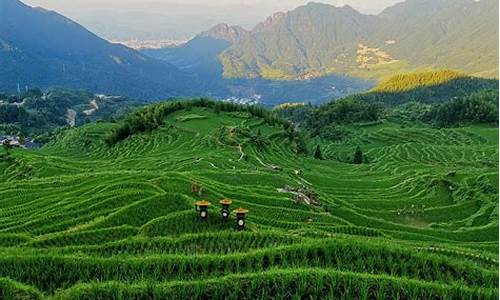 云和梯田景区在哪_云和梯田