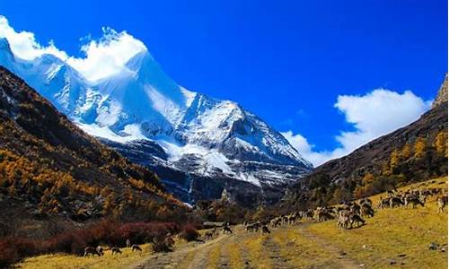 成都至稻城亚丁大巴_成都大巴出发稻城亚丁自由行旅游攻略