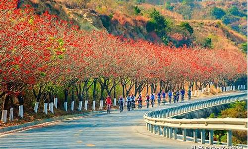 春节去攀枝花旅游怎么样_去攀枝花旅游什么时间比较好