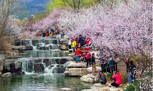 清明节去昆明旅游怎么样_清明去昆明要隔离吗