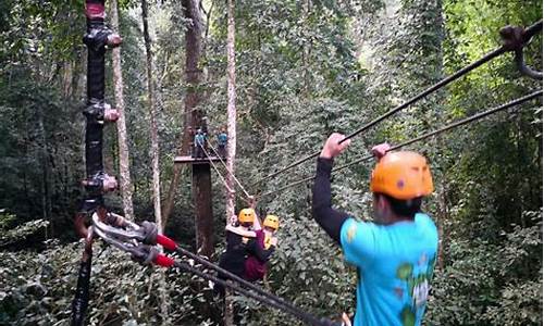 原始森林公园丛林飞跃a段b段区别_原始森林丛林飞跃简介