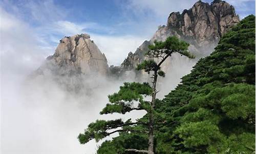 武汉到安徽黄山旅游攻略一日游_武汉到安徽黄山旅游攻略