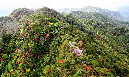 南岭森林公园景区_南岭森林公园景区关闭