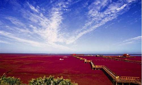 红海滩旅游攻略_红海滩旅游攻略自助游