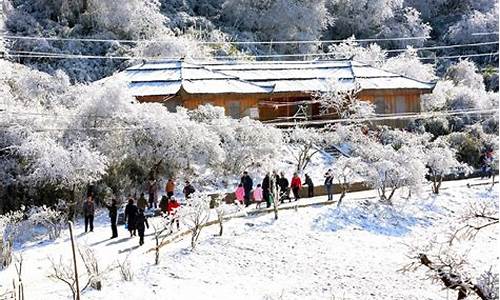 重庆旅游景点推荐冬季_重庆旅游景点推荐冬季