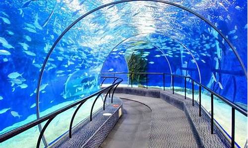 上海海洋水族馆攻略_上海海洋水族馆攻略 转一圈如何再回去