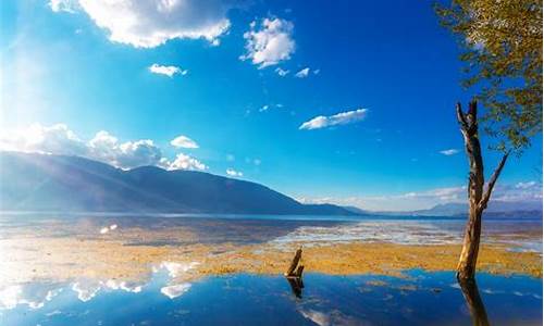 想去云南自由行旅游,怎样做攻略_想去云南自由行旅游,怎样做攻略呢