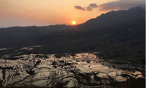 云南元阳梯田旅游攻略文字_云南元阳梯田景点